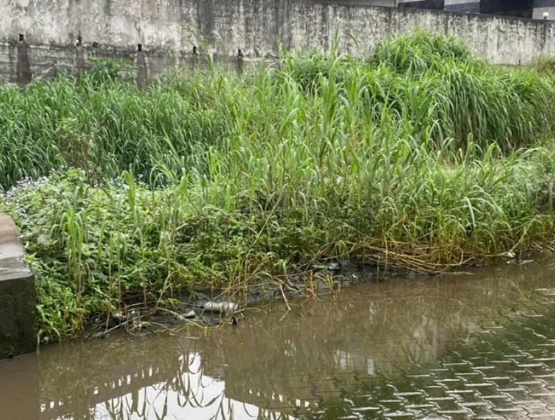 Une vue du bassin versant de nzeng-ayong .