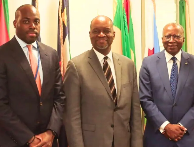 Les ministres Mark-Alexandre DOUMBA (G) et Chales M'BA (D)