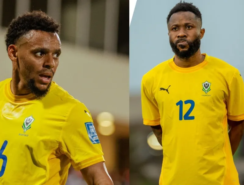 Football/Panthères : trois cadors à la recherche d'un point de chute