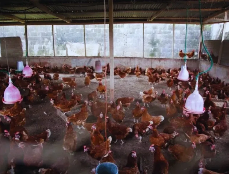 La construction de six fermes intégrées va débuter avant la prochaine saison des pluies. © DR/ L’Union