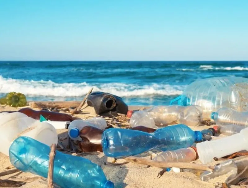 La protection des océans, un enjeu majeur pour les États.