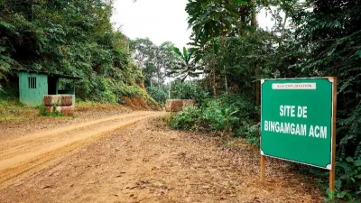 Agroforesterie  : l’heure du bilan pour le groupe Alpha Centauri Mining