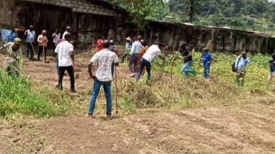 Aviculture : le Gabon veut former 40 000 professionnels