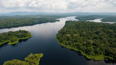 Biodiversité au Gabon
