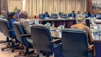 Comité stratégique chargé du suivi des projets intégrés de transformation locale de minerais