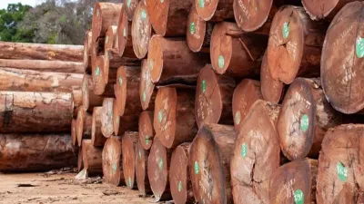 Exploitation de bois au Gabon