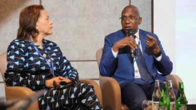 Pr Nkana Ayo-Bivigou, ministre de la santé