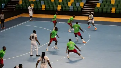 Les Panthères renversées par les Lions Indomptables