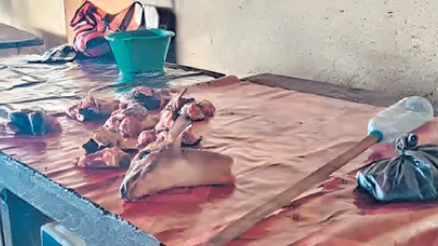 Une vue de ce qui reste d’un étal de viande de brousse sur le marché de Moanda