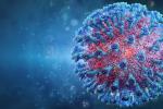 Coronavirus : où en est-on ?