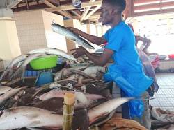 Port-Gentil : le poisson toujours cher